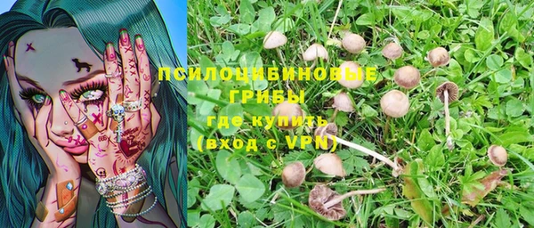 гашик Краснотурьинск