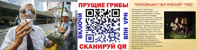 Псилоцибиновые грибы прущие грибы  MEGA вход  Хабаровск  что такое  
