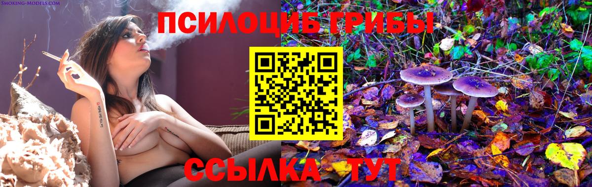 Хабаровск  Галлюциногенные грибы MAGIC MUSHROOMS  как найти закладки  Вход с VPN 